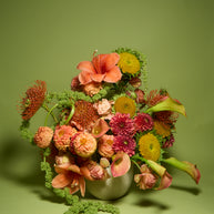 Floral Arrangement (Creativo Special)