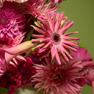 Floral Arrangement (Creativo Special)