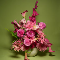 Floral Arrangement (Creativo Special)