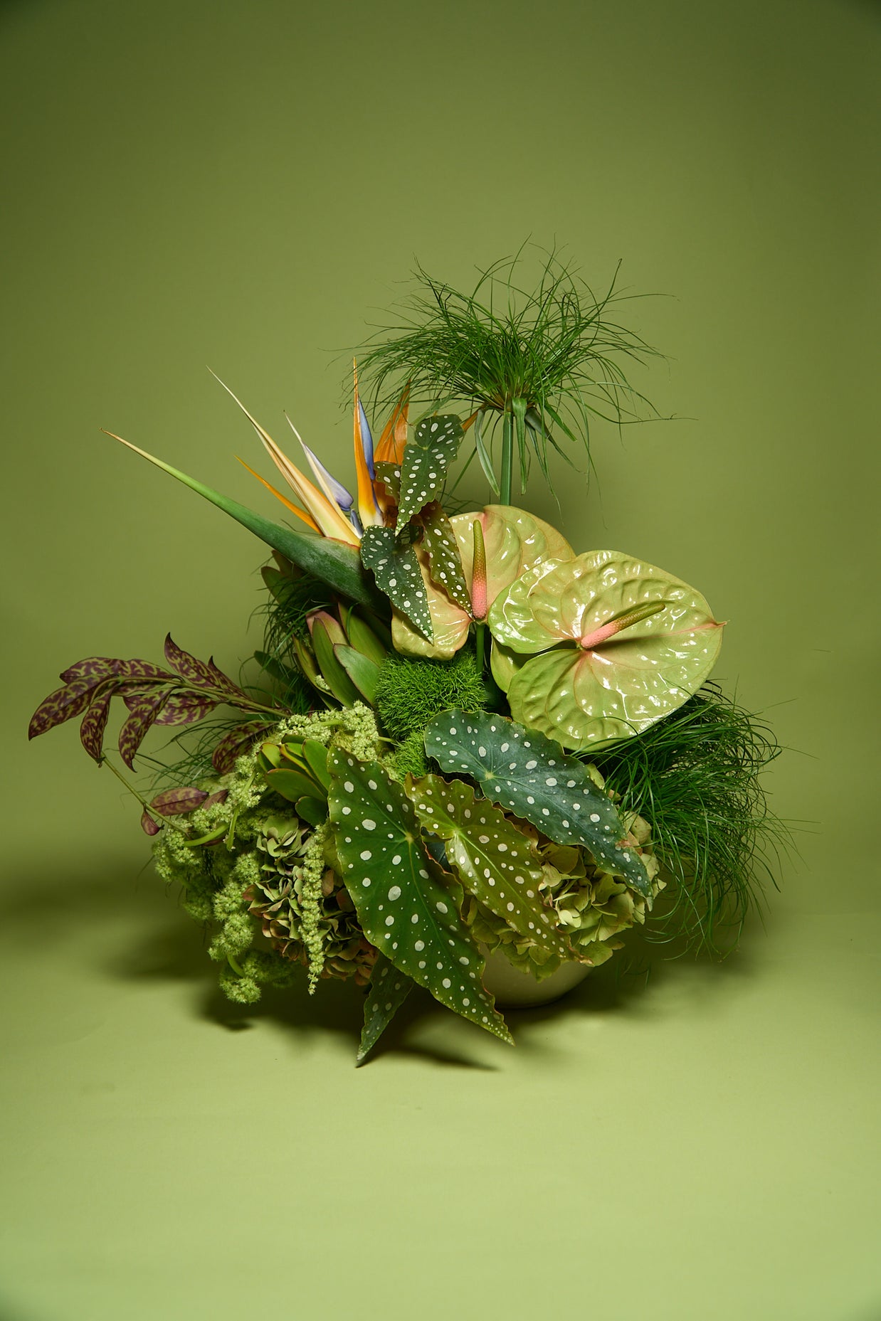 Floral Arrangement (Creativo Special)