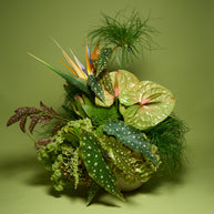 Floral Arrangement (Creativo Special)