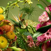 Floral Arrangement (Creativo Special)