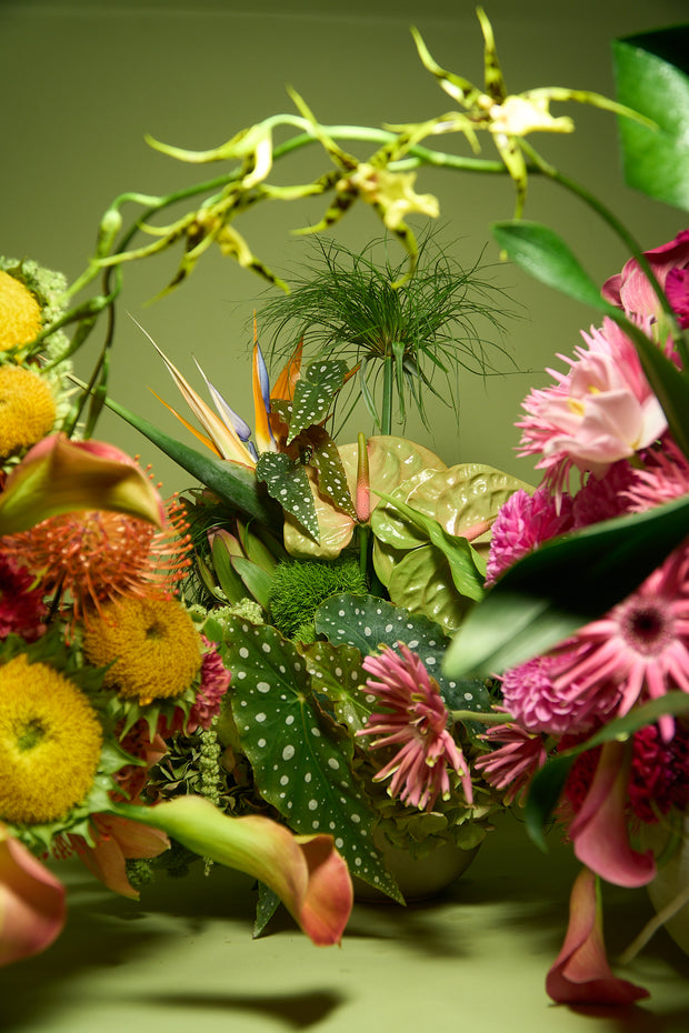 Floral Arrangement (Creativo Special)