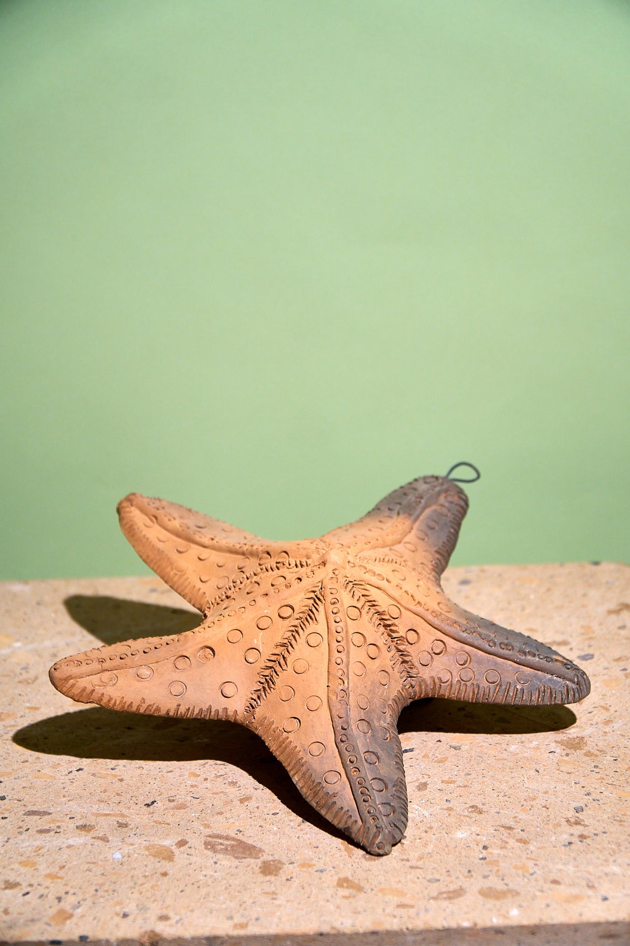 Estrella de mar