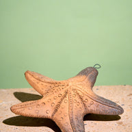 Estrella de mar