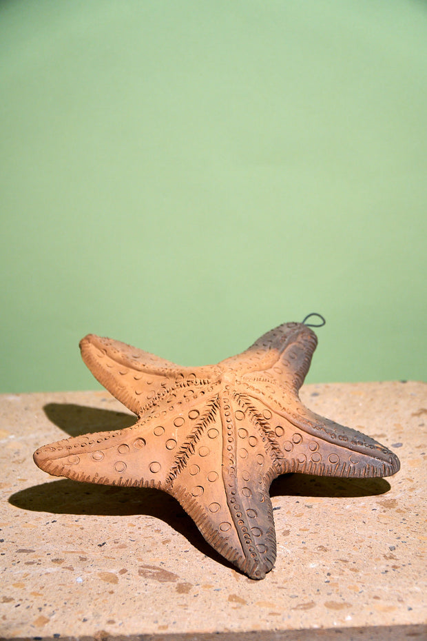Estrella de mar