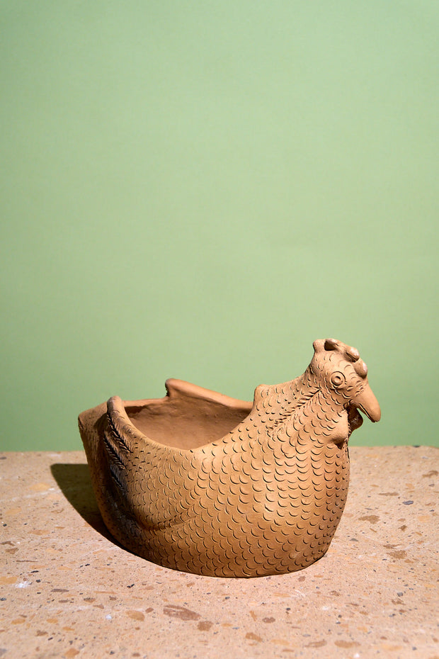 Maceta de gallina
