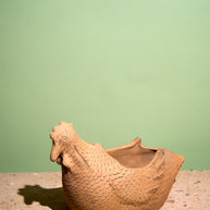 Maceta de gallina