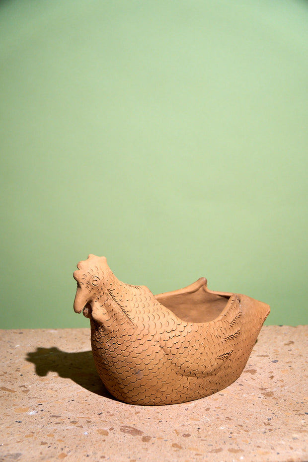 Maceta de gallina