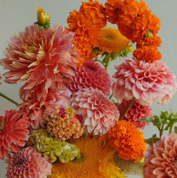 Floral Arrangement (Creativo Special)