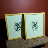 coyote danzante de la noche 2022