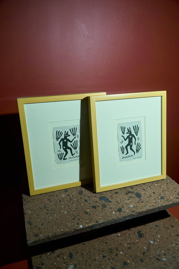 coyote danzante de la noche 2022