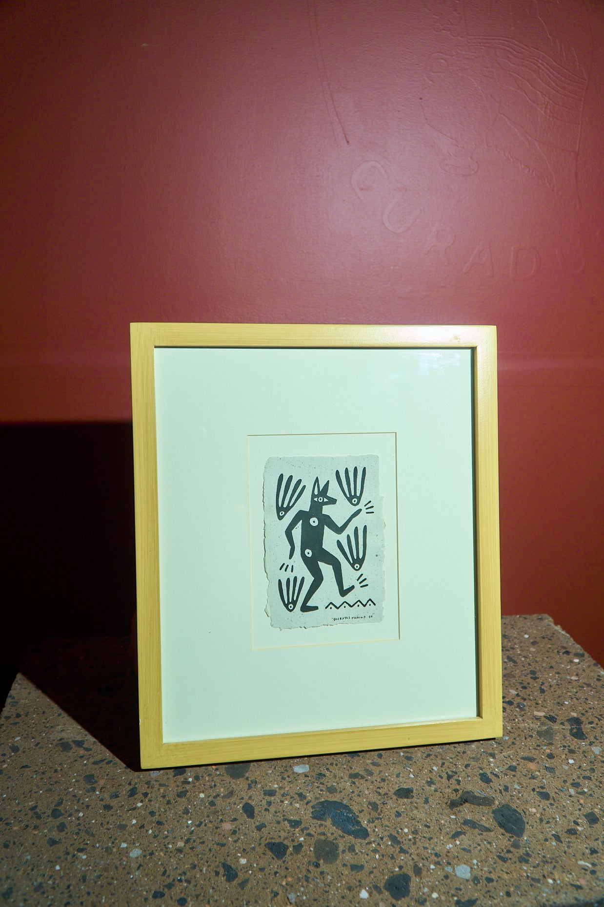 coyote danzante de la noche 2022