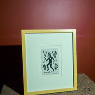 coyote danzante de la noche 2022