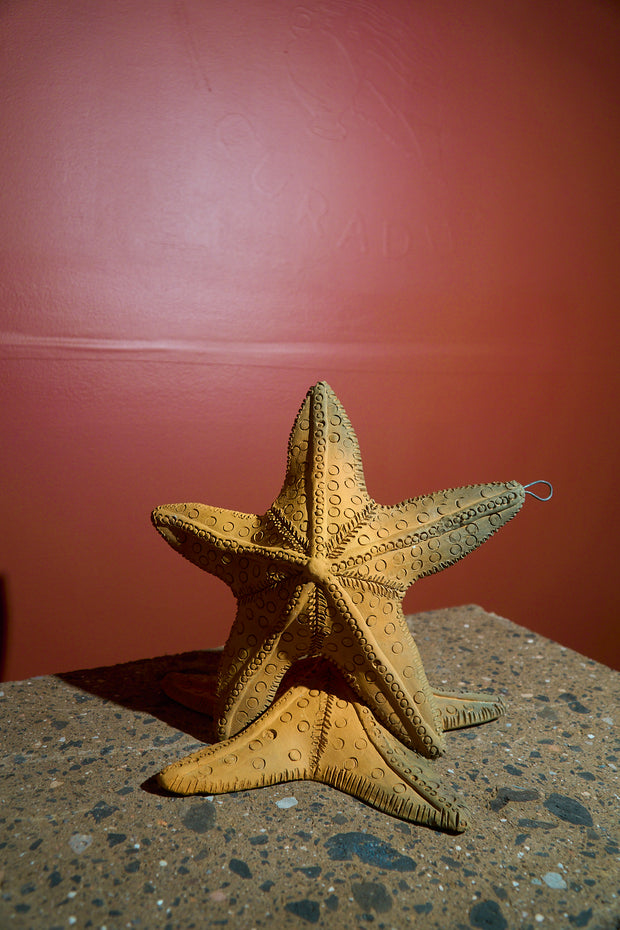 Estrella de mar